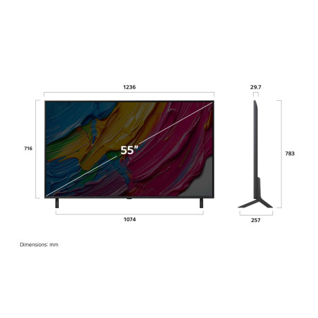  إل جي تلفزيون QNED، فئة QNED80، حجم 55 بوصة بدقة 4K UHD، ذكي بنظام تشغيل WebOS. 