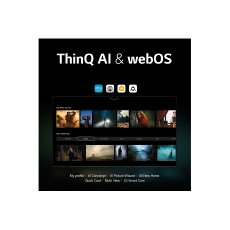  إل جي تلفزيون QNED، فئة QNED81، حجم 55 بوصة بدقة 4K UHD، ذكي بنظام تشغيل WebOS. 