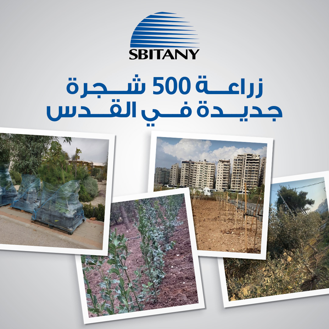 ضمن سعيها للحفاظ على البيئة سبيتاني تطلق المبادرة السنوية " زراعة 500 شجرة جديدة" في القدس